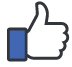 ”facebook_icon”